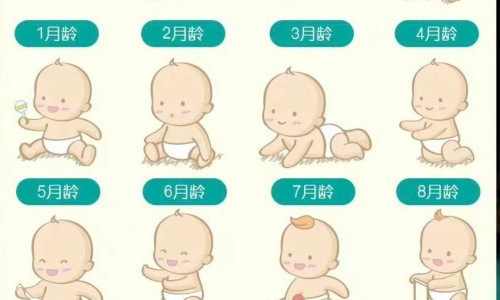 45天婴儿怎么测试听力是否正常-【45天宝宝听力表现什么样】人体结构几何体速写 - 45天婴儿怎么测试听力网